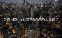 外国网友：YSL蜜桃色WWW太离谱了