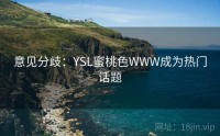 意见分歧：YSL蜜桃色WWW成为热门话题